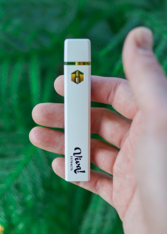 Blue Raspberry | Disposable Vape 1G
